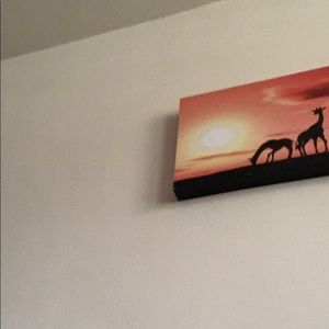 Meet your Posher, Martin